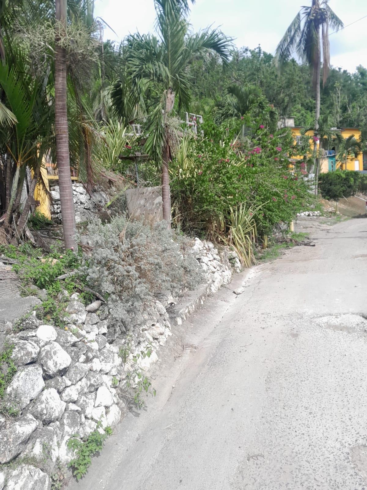 Sixth image of Hyde & Gibraltar, Clarks in Clarks Town, Trelawny, Jamaica - property is For Sale