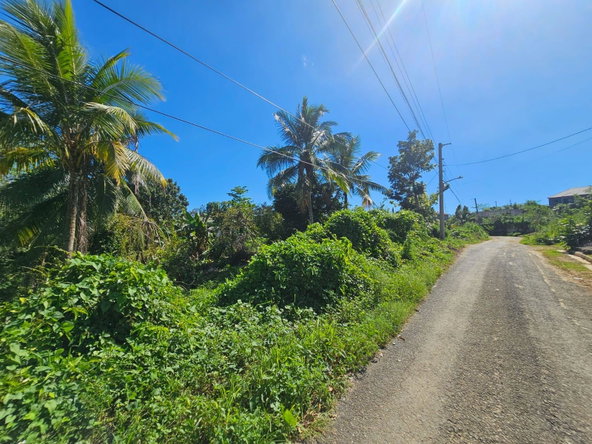 Fifth image of Orangefield in Orangefield, St. Catherine, Jamaica - property is For Sale