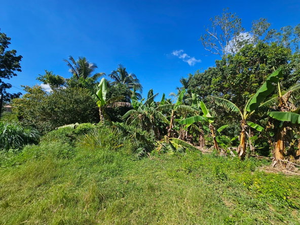 Sixth image of Orangefield in Orangefield, St. Catherine, Jamaica - property is For Sale
