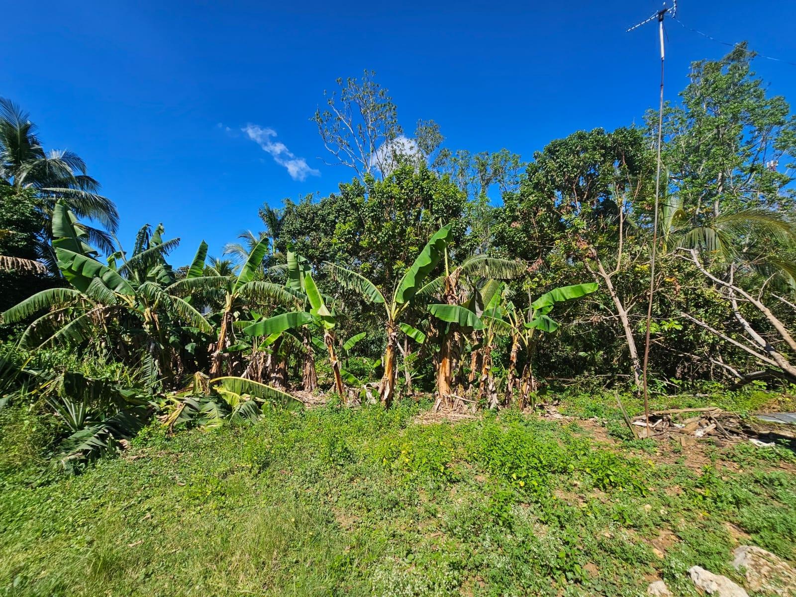 Seventh image of Orangefield in Orangefield, St. Catherine, Jamaica - property is For Sale