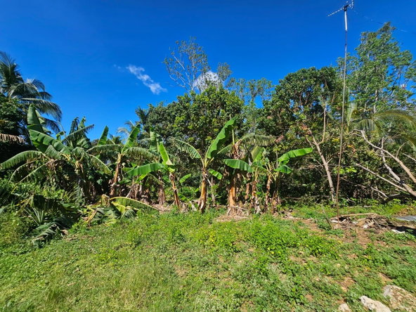 Seventh image of Orangefield in Orangefield, St. Catherine, Jamaica - property is For Sale