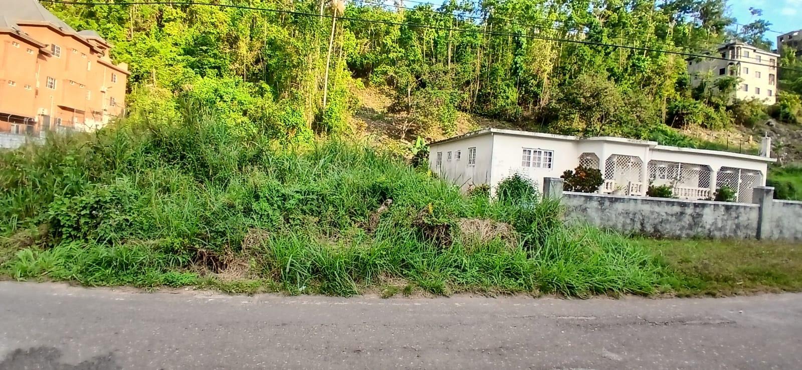 Third image of Lot 50 Part of Dunrobin, Balveni in Mandeville, Manchester, Jamaica - property is For Sale