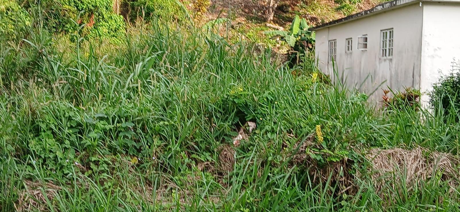 Fourth image of Lot 50 Part of Dunrobin, Balveni in Mandeville, Manchester, Jamaica - property is For Sale