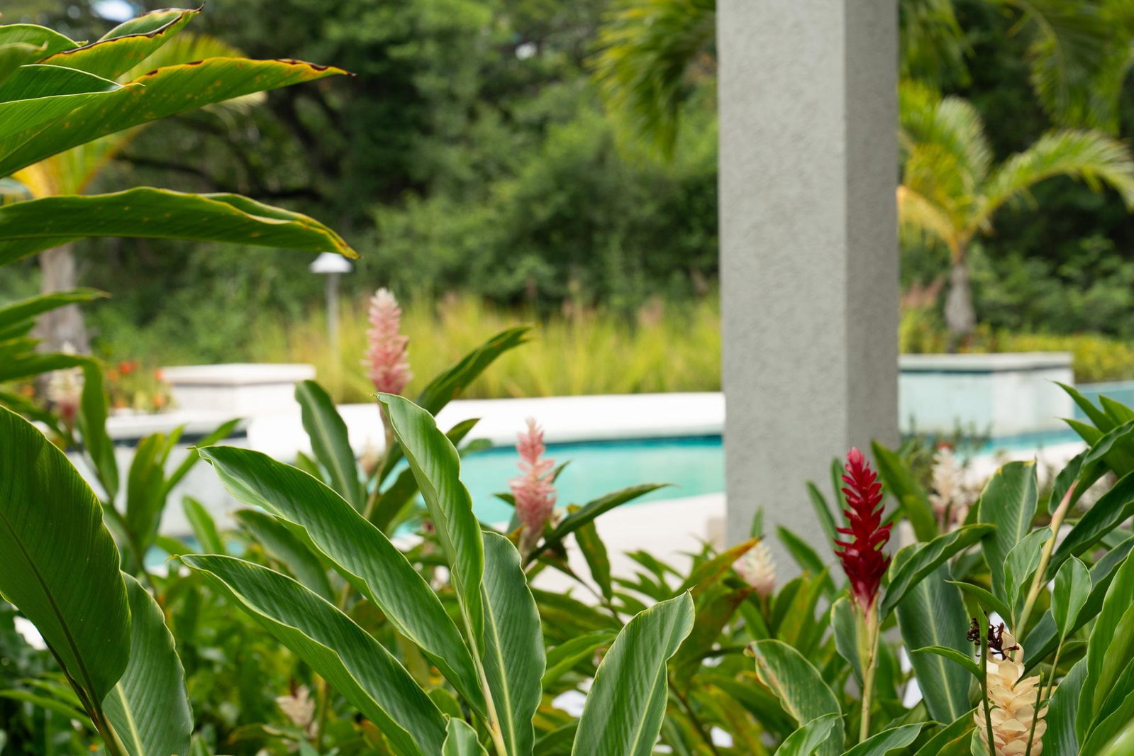 Third image of 6- Bessa, Gibraltar Estate in Oracabessa, St. Mary, Jamaica - property is For Sale