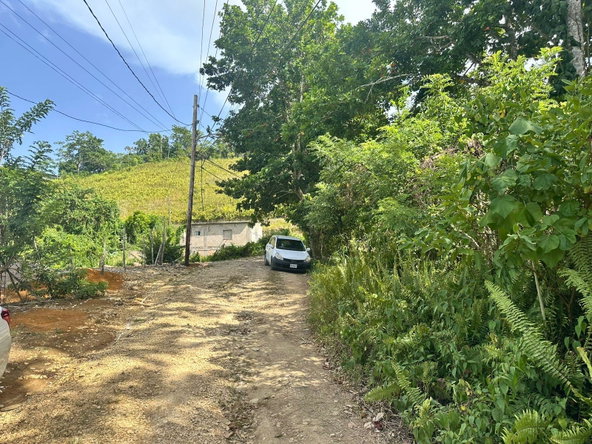 Twelfth image of Colegate in Cole Gate, St. Ann, Jamaica - property is For Sale