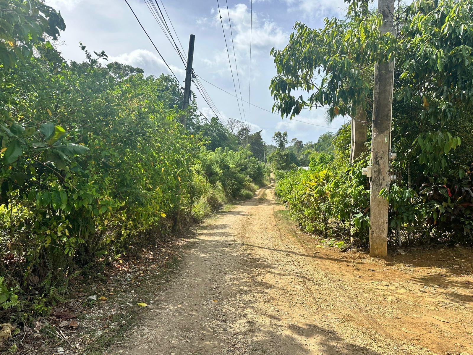 Thirteenth image of Colegate in Cole Gate, St. Ann, Jamaica - property is For Sale