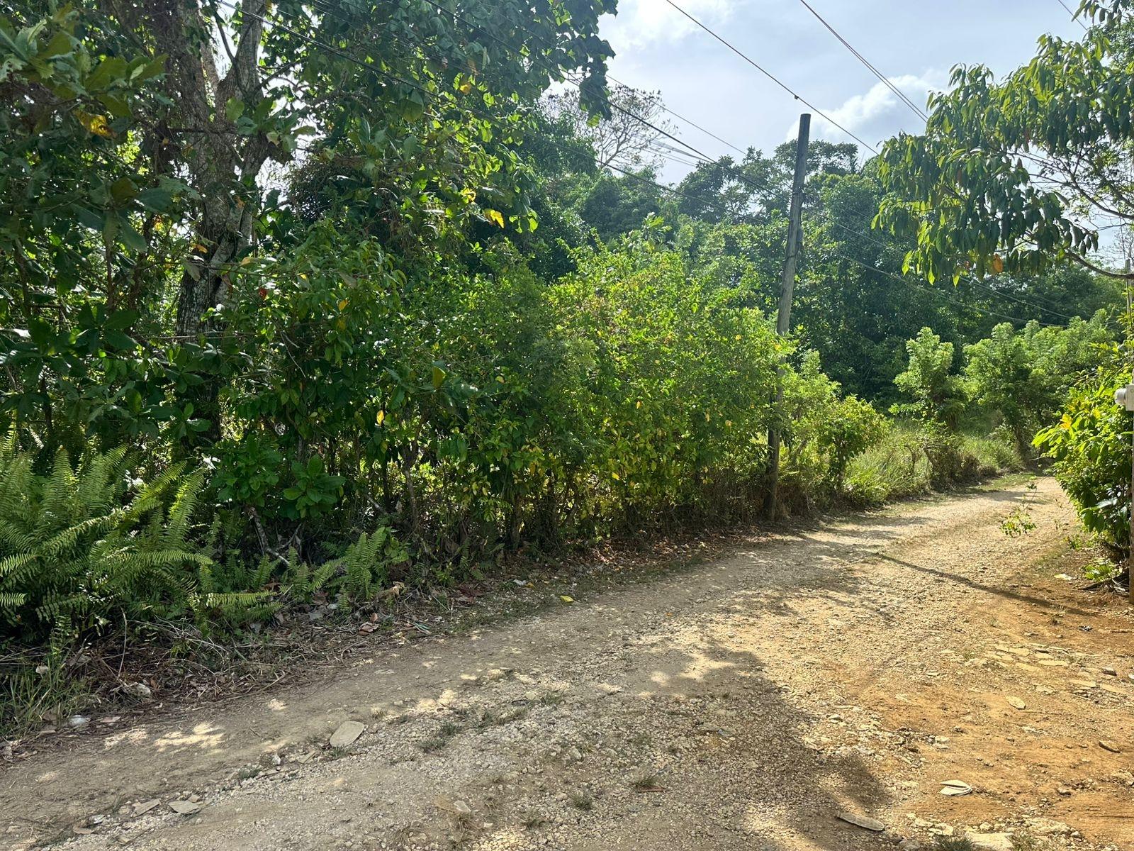 Fourteenth image of Colegate in Cole Gate, St. Ann, Jamaica - property is For Sale