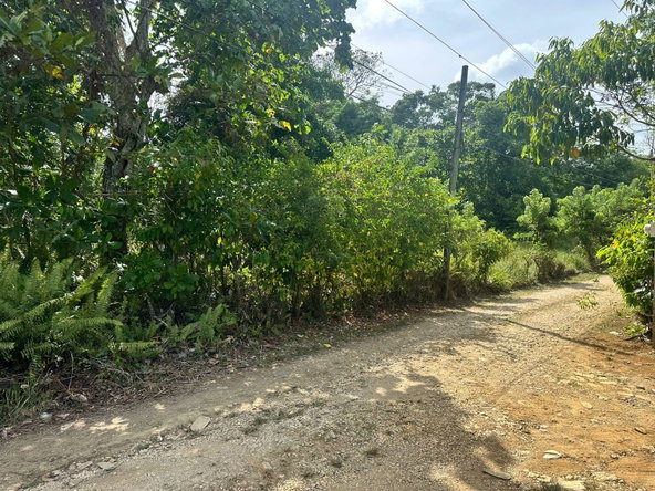 Fourteenth image of Colegate in Cole Gate, St. Ann, Jamaica - property is For Sale