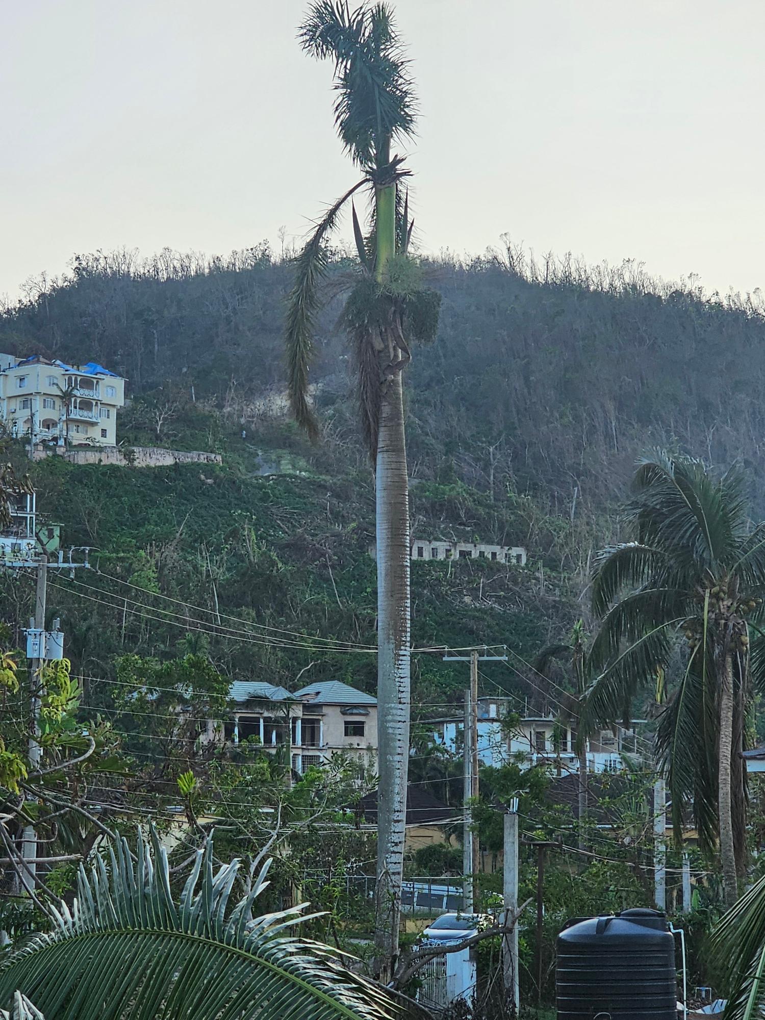 Nineteenth image of 18 Bogue Heights in Montego Bay, St. James, Jamaica - property is For Sale