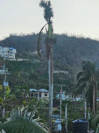 Nineteenth image of 18 Bogue Heights in Montego Bay, St. James, Jamaica - property is For Sale