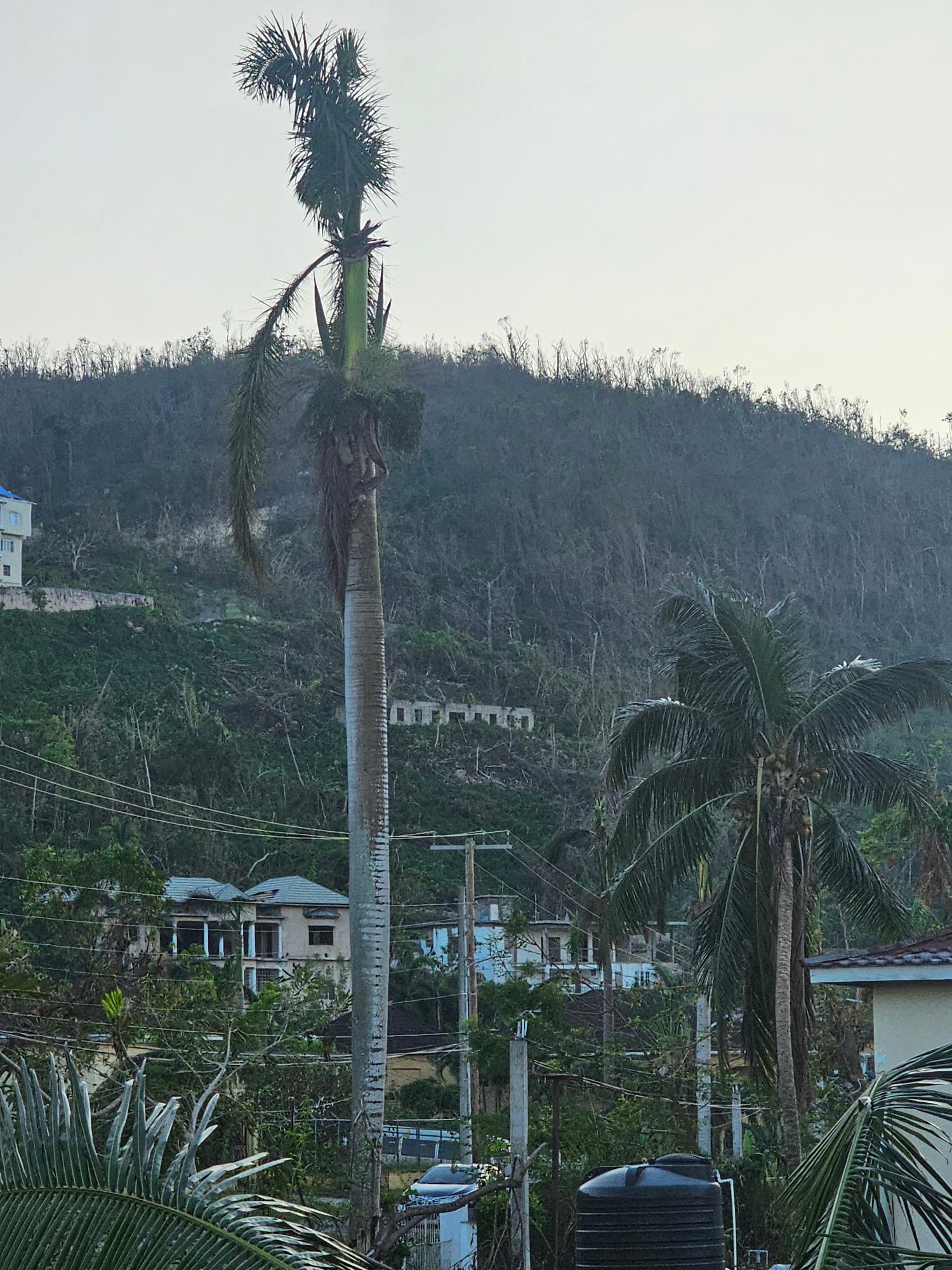 Twentieth image of 18 Bogue Heights in Montego Bay, St. James, Jamaica - property is For Sale