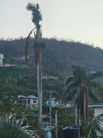 Twentieth image of 18 Bogue Heights in Montego Bay, St. James, Jamaica - property is For Sale