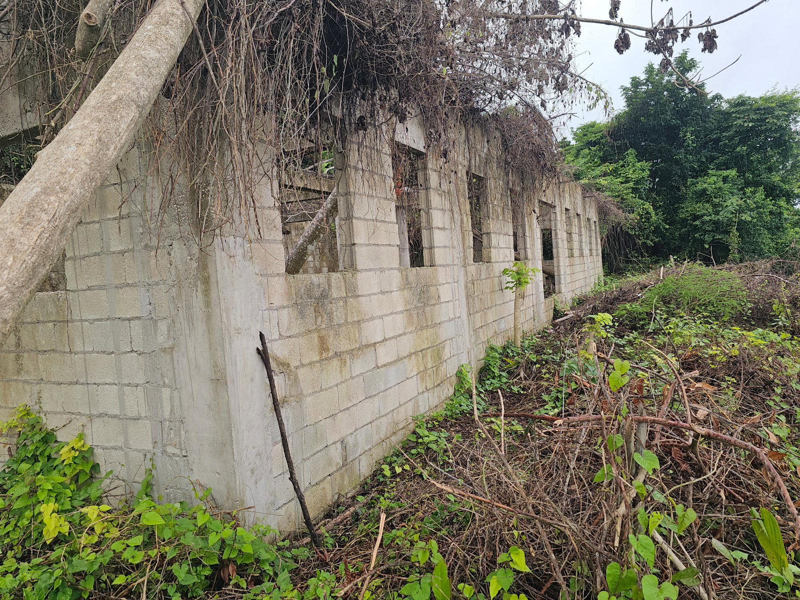 Sixth image of 18 Bogue Heights in Montego Bay, St. James, Jamaica - property is For Sale