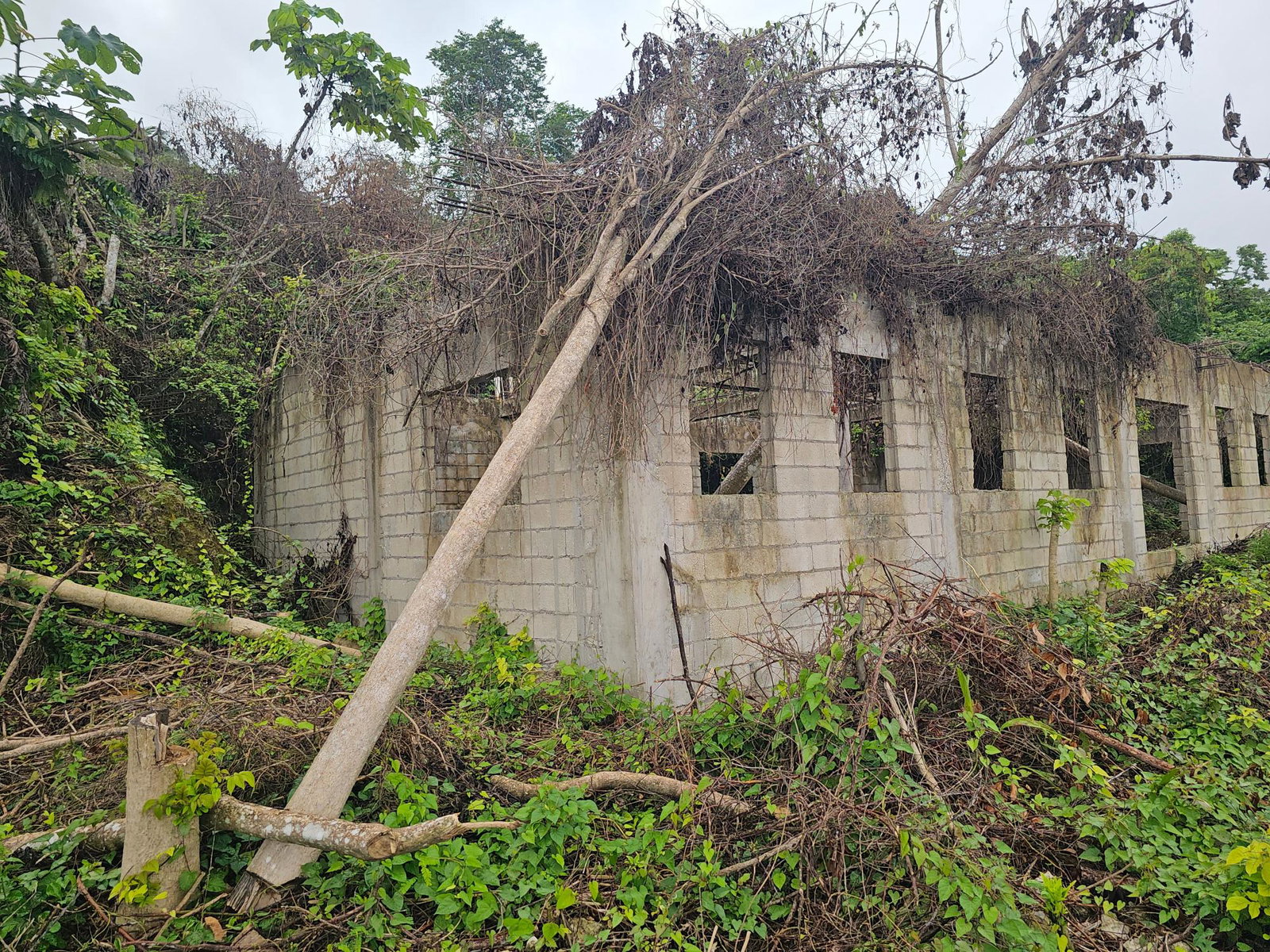 Seventh image of 18 Bogue Heights in Montego Bay, St. James, Jamaica - property is For Sale
