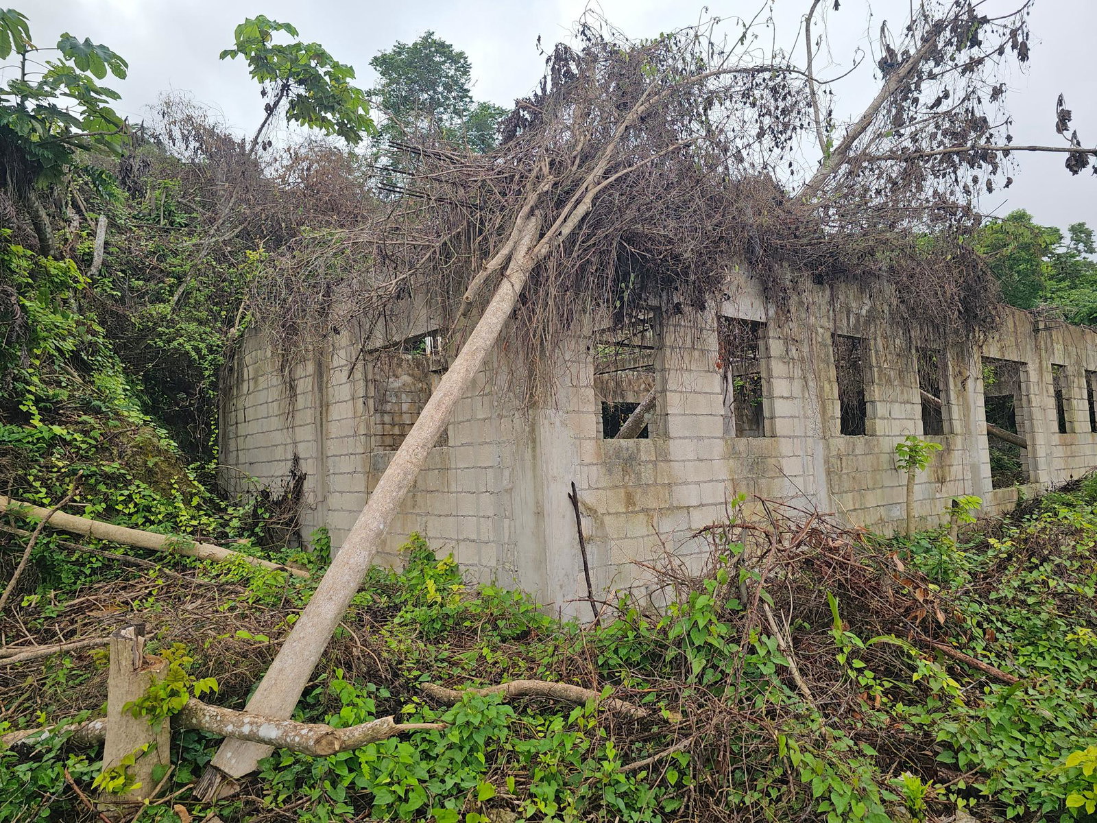 Eighth image of 18 Bogue Heights in Montego Bay, St. James, Jamaica - property is For Sale