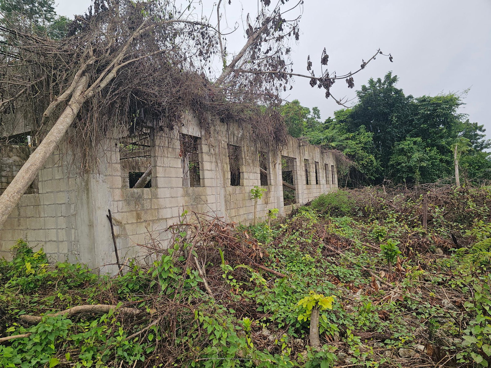 Ninth image of 18 Bogue Heights in Montego Bay, St. James, Jamaica - property is For Sale