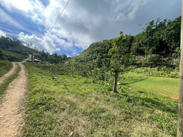 First image of James Mountain, Sligovill in Sligoville, St. Catherine, Jamaica - property is For Sale