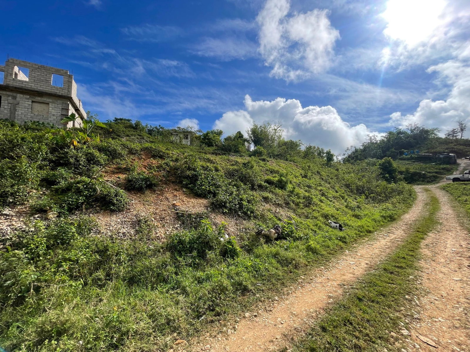 Tenth image of James Mountain, Sligovill in Sligoville, St. Catherine, Jamaica - property is For Sale