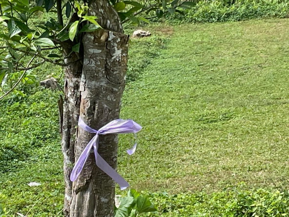 Fifteenth image of James Mountain, Sligovill in Sligoville, St. Catherine, Jamaica - property is For Sale