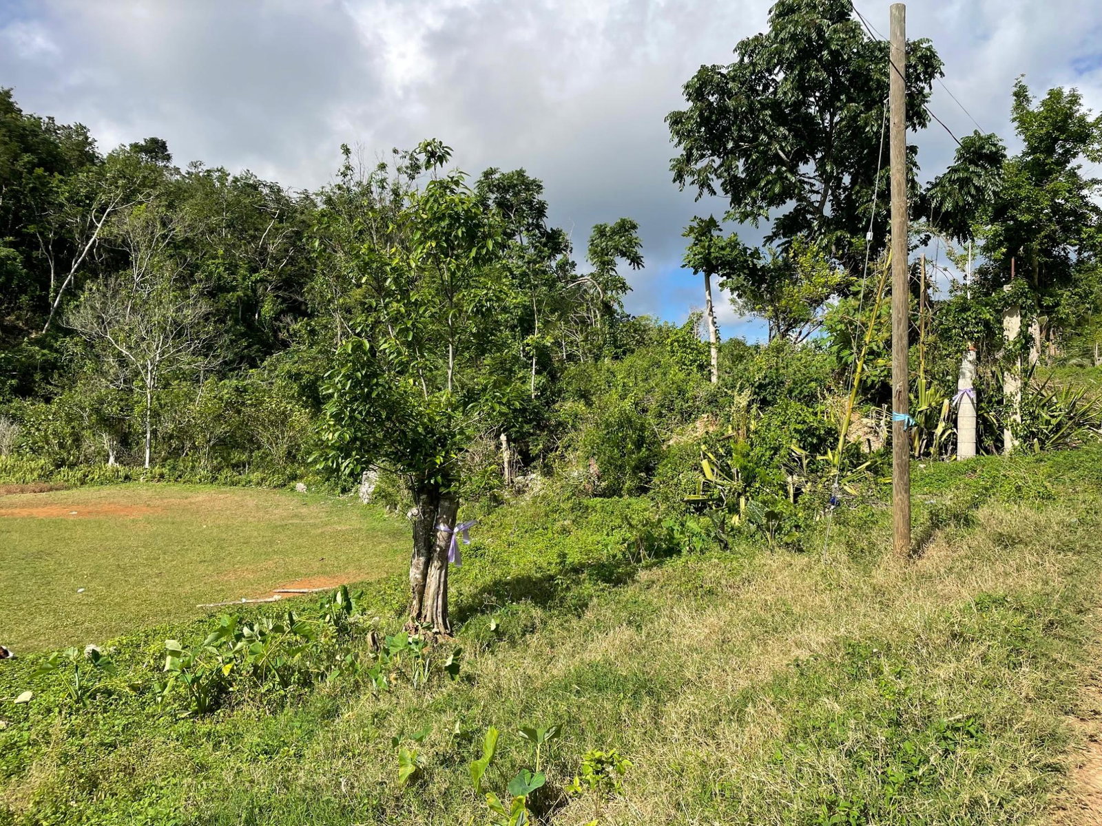Sixteenth image of James Mountain, Sligovill in Sligoville, St. Catherine, Jamaica - property is For Sale