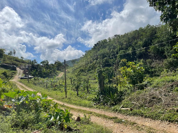 Seventeenth image of James Mountain, Sligovill in Sligoville, St. Catherine, Jamaica - property is For Sale