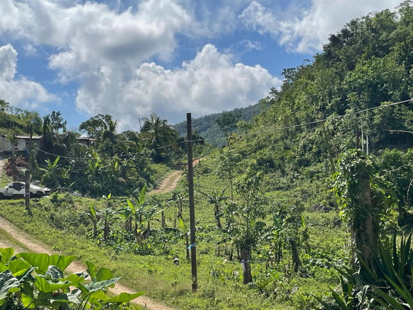 Eighteenth image of James Mountain, Sligovill in Sligoville, St. Catherine, Jamaica - property is For Sale