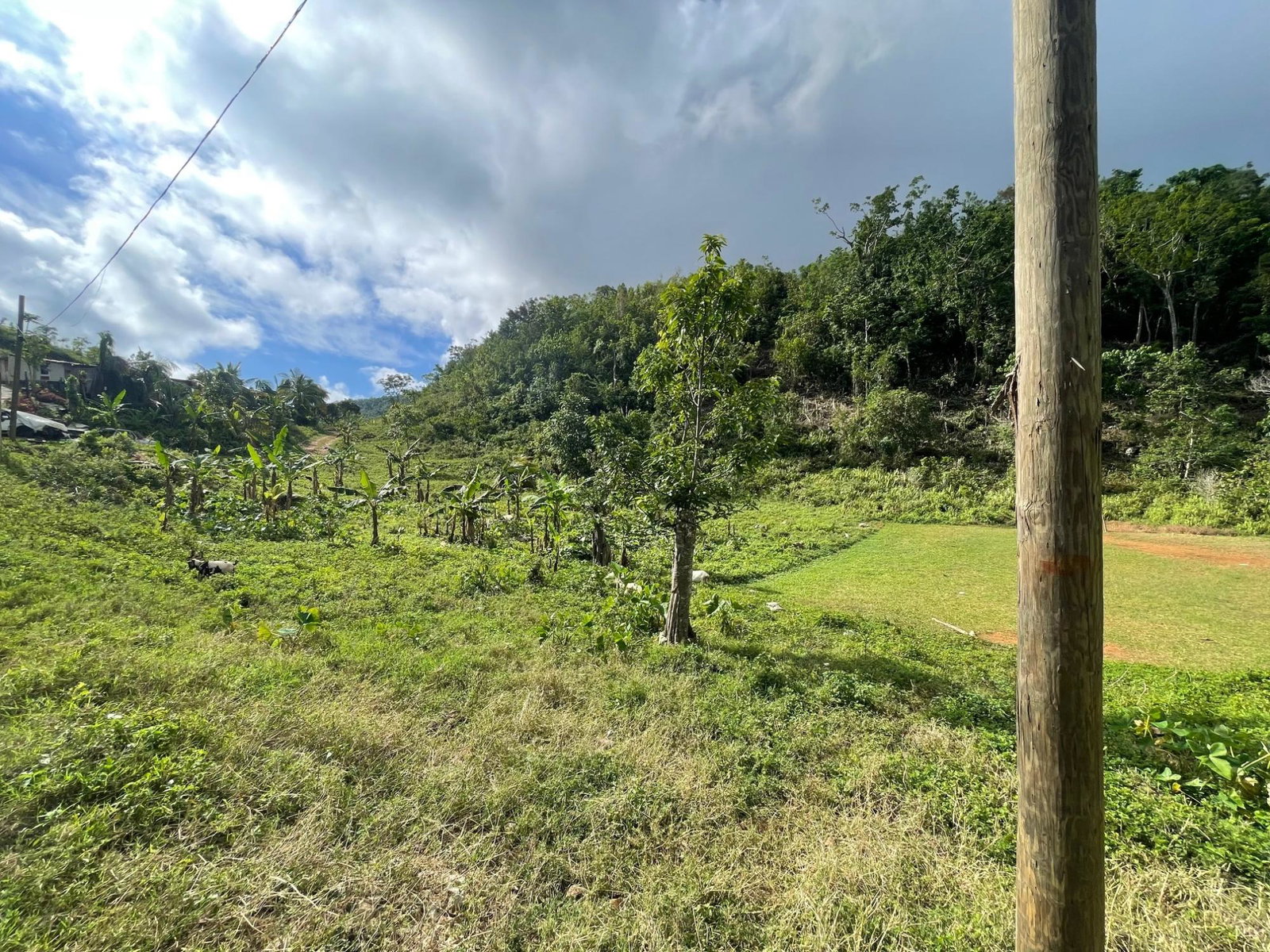 Third image of James Mountain, Sligovill in Sligoville, St. Catherine, Jamaica - property is For Sale