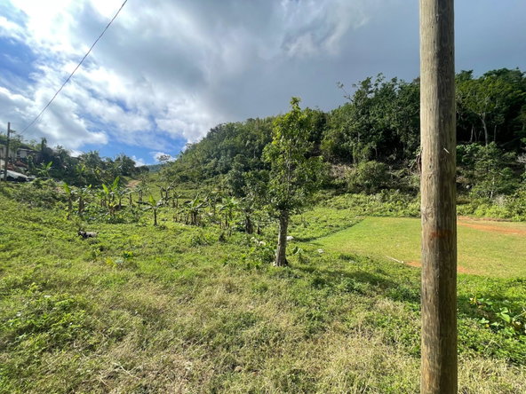 Third image of James Mountain, Sligovill in Sligoville, St. Catherine, Jamaica - property is For Sale