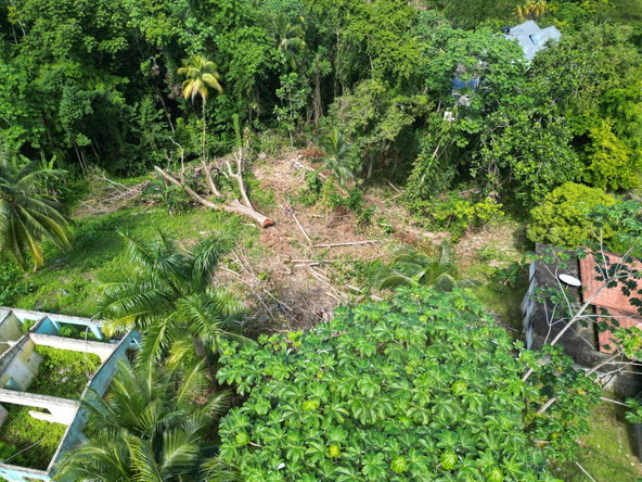 Twelfth image of Boundbrook Heights in Port Antonio, Portland, Jamaica - property is For Sale