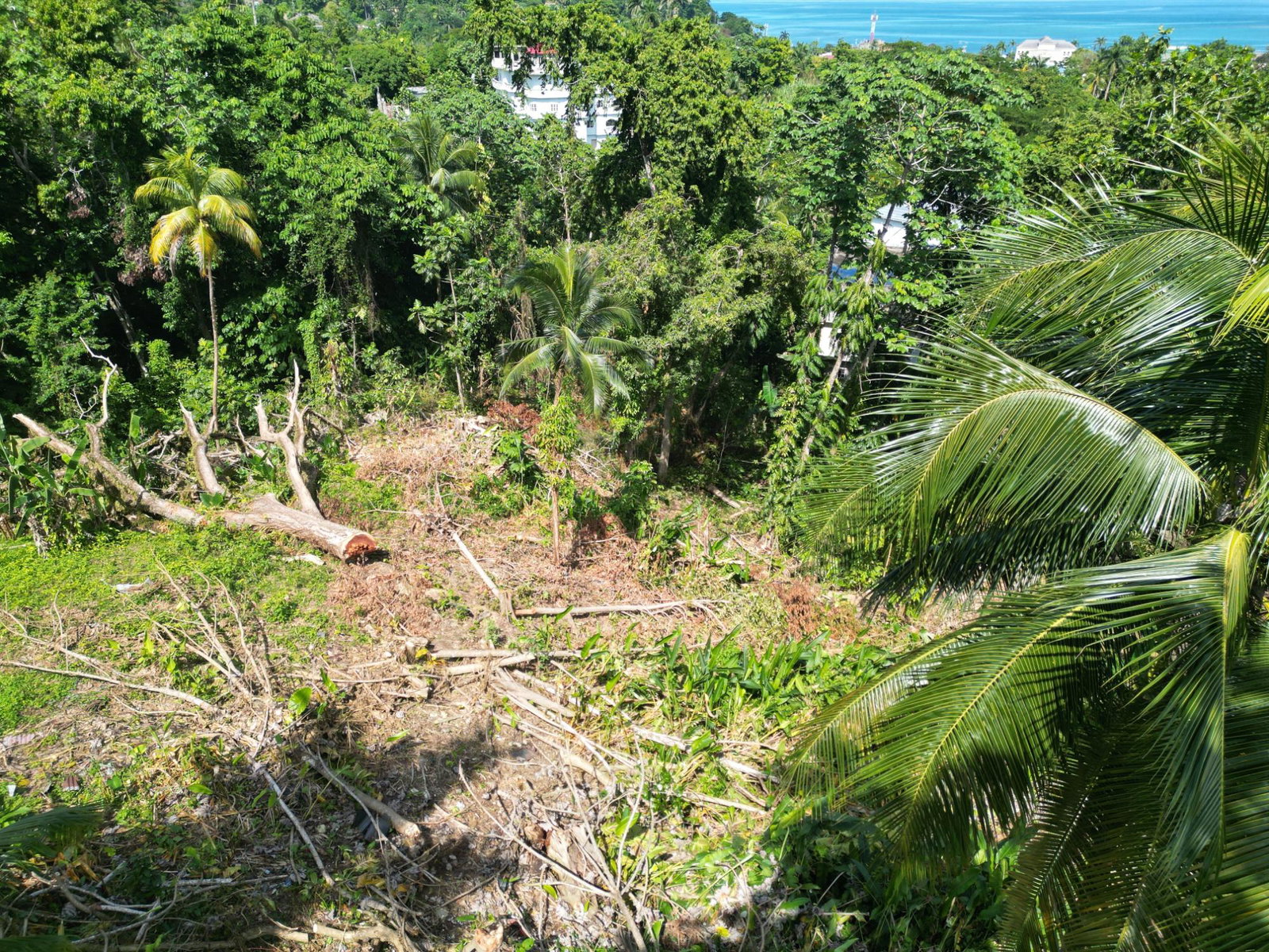 Eighth image of Boundbrook Heights in Port Antonio, Portland, Jamaica - property is For Sale