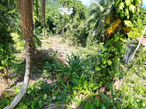 Ninth image of Boundbrook Heights in Port Antonio, Portland, Jamaica - property is For Sale