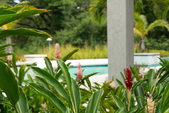Seventh image of 24- Bessa, Gibraltar Estate in Oracabessa, St. Mary, Jamaica - property is For Sale
