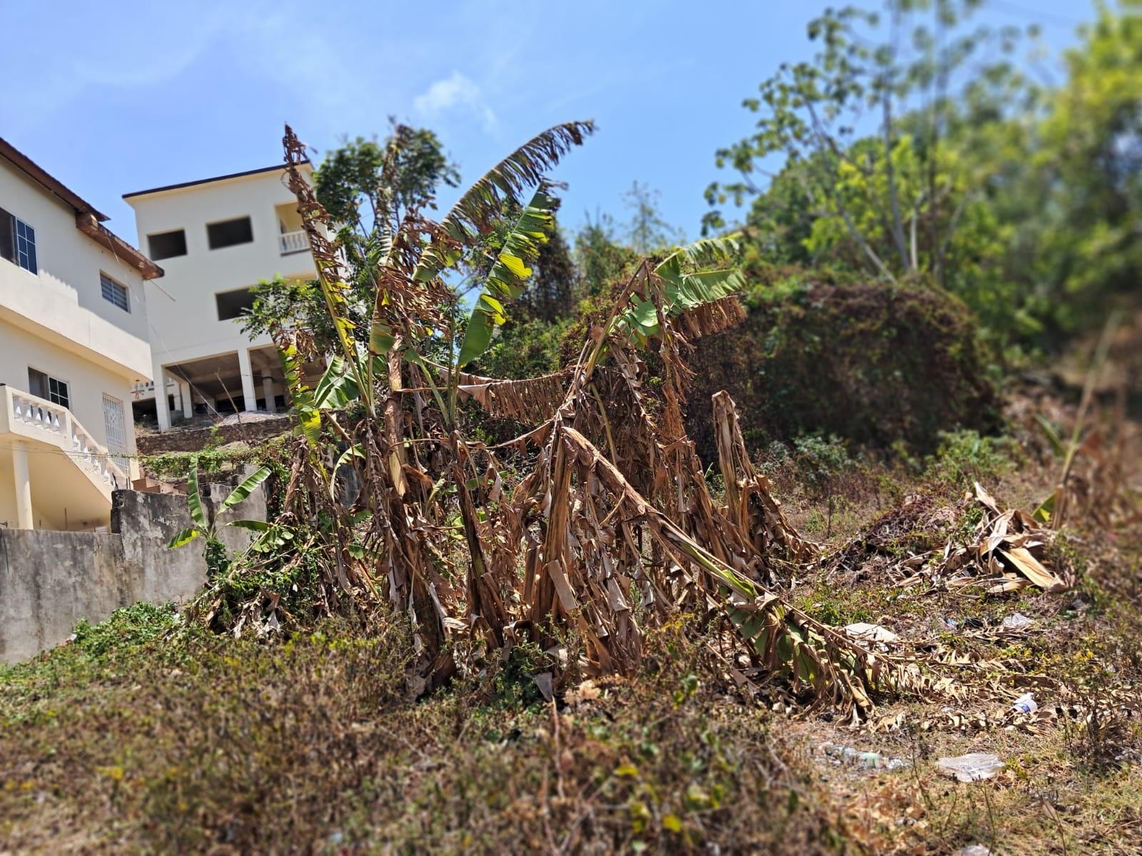 First image of Lot No. 1 Willow Park in Hampstead, St. Ann, Jamaica - property is For Sale