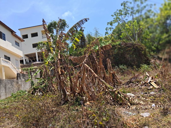 First image of Lot No. 1 Willow Park in Hampstead, St. Ann, Jamaica - property is For Sale