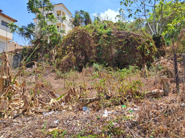 Second image of Lot No. 1 Willow Park in Hampstead, St. Ann, Jamaica - property is For Sale