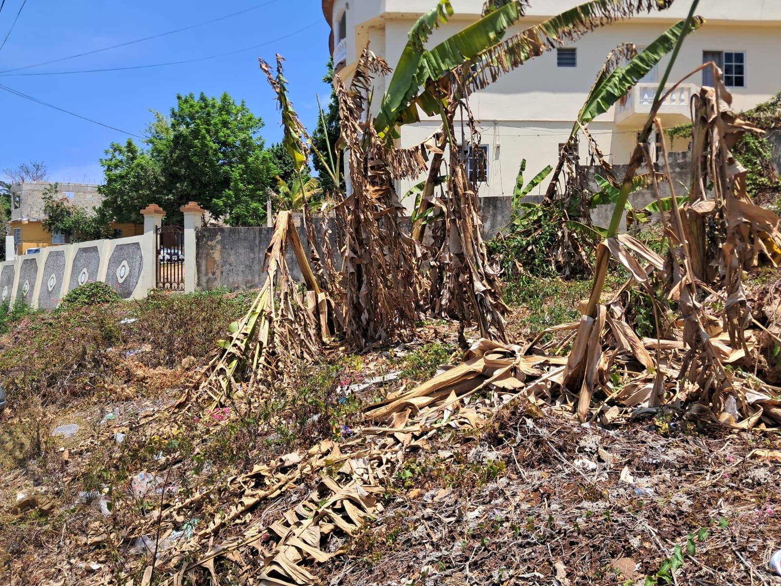 Third image of Lot No. 1 Willow Park in Hampstead, St. Ann, Jamaica - property is For Sale