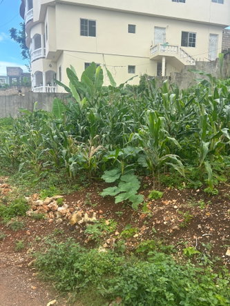 Seventh image of Lot No. 1 Willow Park in Hampstead, St. Ann, Jamaica - property is For Sale