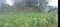 First image of Reach, Portland in Reach, Portland, Jamaica - property is For Sale