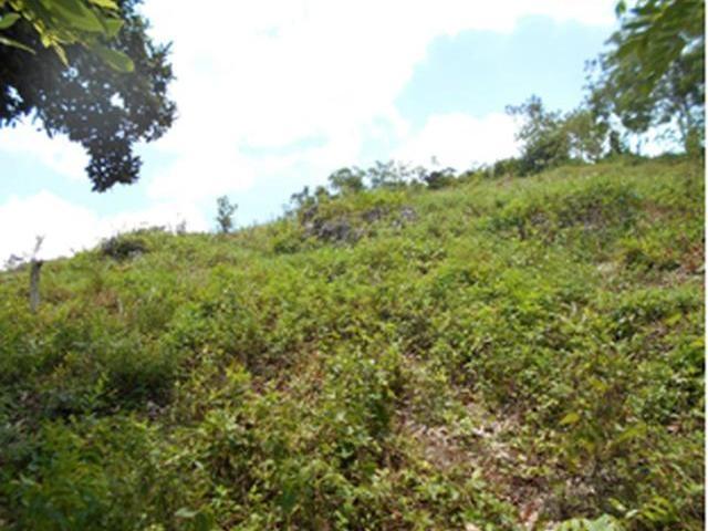 Second image of Lot 32 Rural Retreat in Claremont, St. Ann, Jamaica - property is For Sale