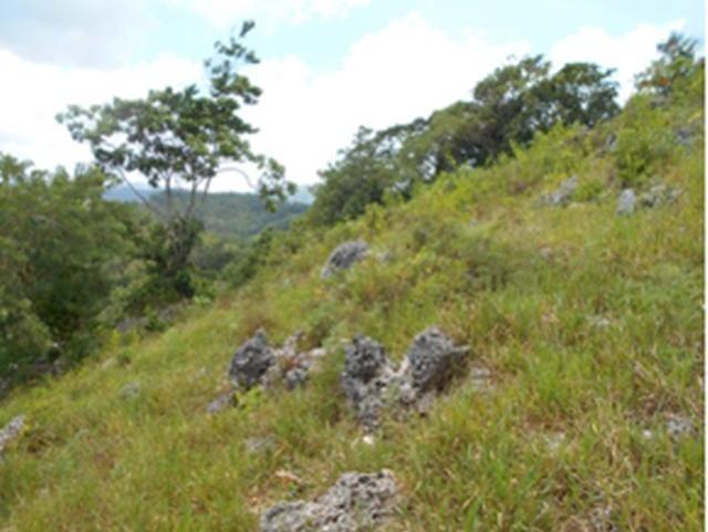Third image of Lot 32 Rural Retreat in Claremont, St. Ann, Jamaica - property is For Sale