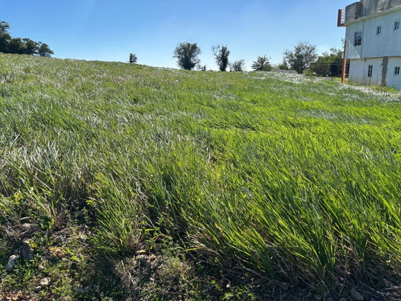 First image of Mount Prospect in MOUNT PROSPECT, Manchester, Jamaica - property is For Sale