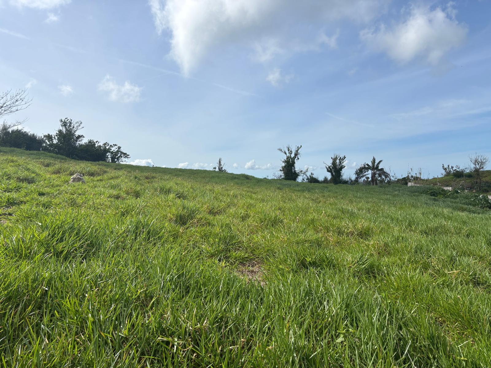 Third image of Mount Prospect in MOUNT PROSPECT, Manchester, Jamaica - property is For Sale