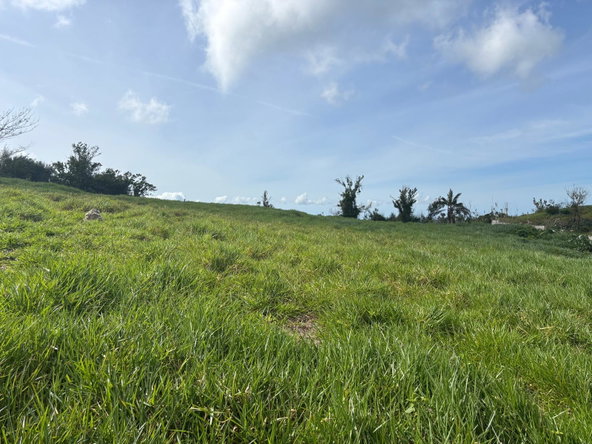 Third image of Mount Prospect in MOUNT PROSPECT, Manchester, Jamaica - property is For Sale