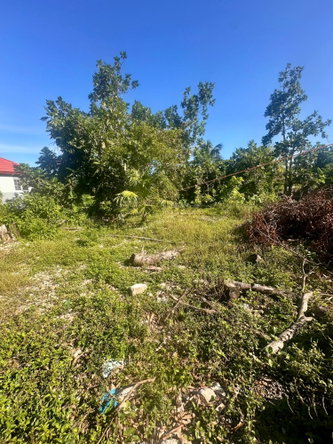 Eleventh image of 69/70- Harthill Windsor Castle in Windsor Castle, Portland, Jamaica - property is For Sale