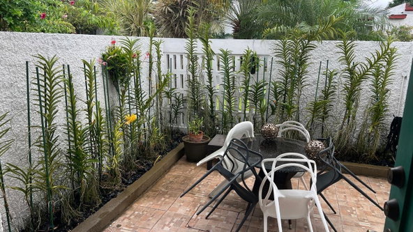 Seventeenth image of 3 East Strathmore in Constant Spring P.O., St. Andrew, Jamaica - property is For Sale