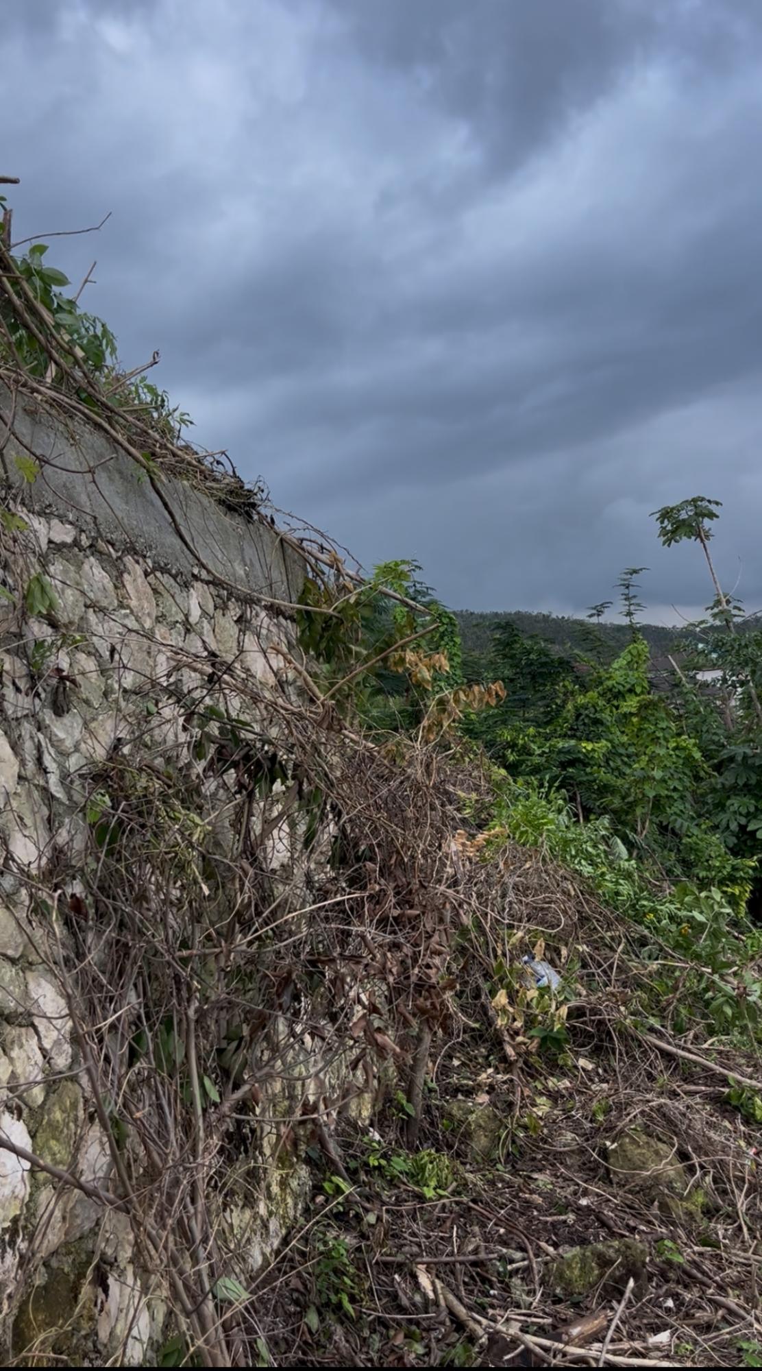 Eleventh image of 157 Spring Gardens, Unity Hal in Reading, St. James, Jamaica - property is For Sale