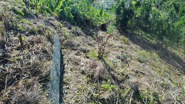 Twelfth image of 157 Spring Gardens, Unity Hal in Reading, St. James, Jamaica - property is For Sale