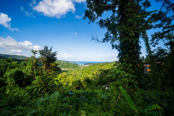 First image of Lot 114 Part of Red Hassel in Nonsuch, Portland, Jamaica - property is For Sale