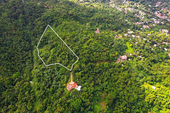 Fifteenth image of Lot 114 Part of Red Hassel in Nonsuch, Portland, Jamaica - property is For Sale