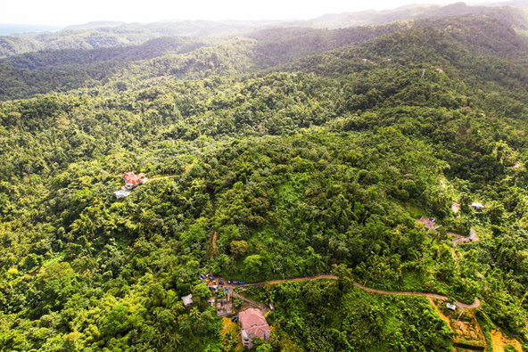 Sixteenth image of Lot 114 Part of Red Hassel in Nonsuch, Portland, Jamaica - property is For Sale